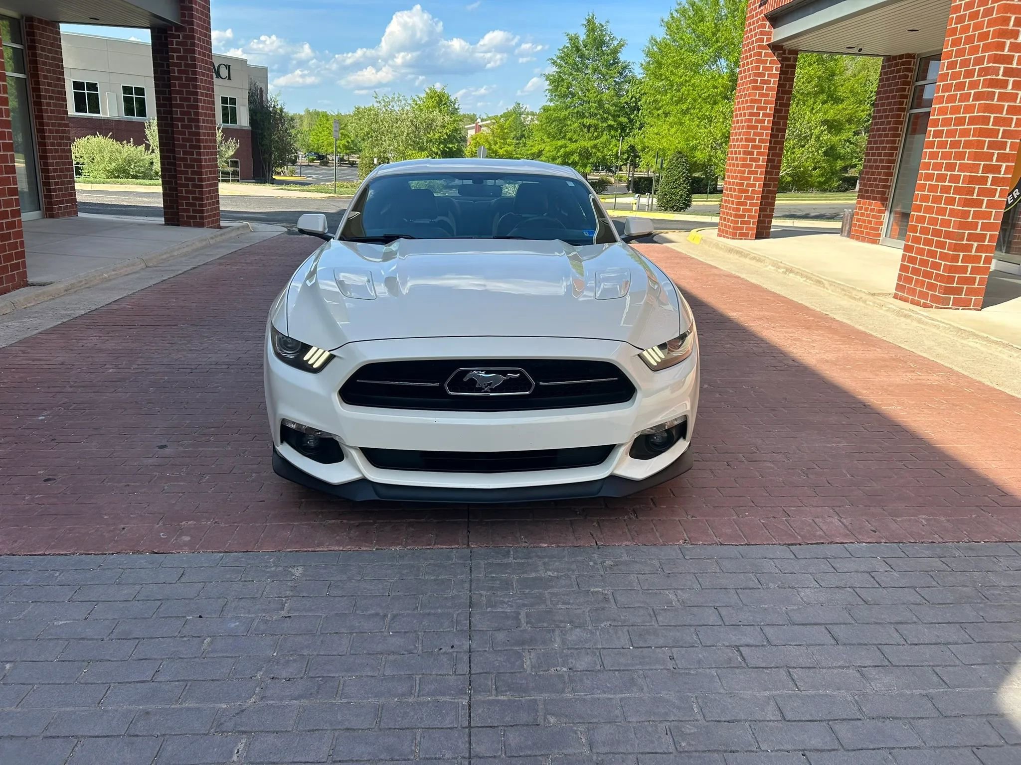 Used 2015 Ford Mustang 50 Years RWD image 2