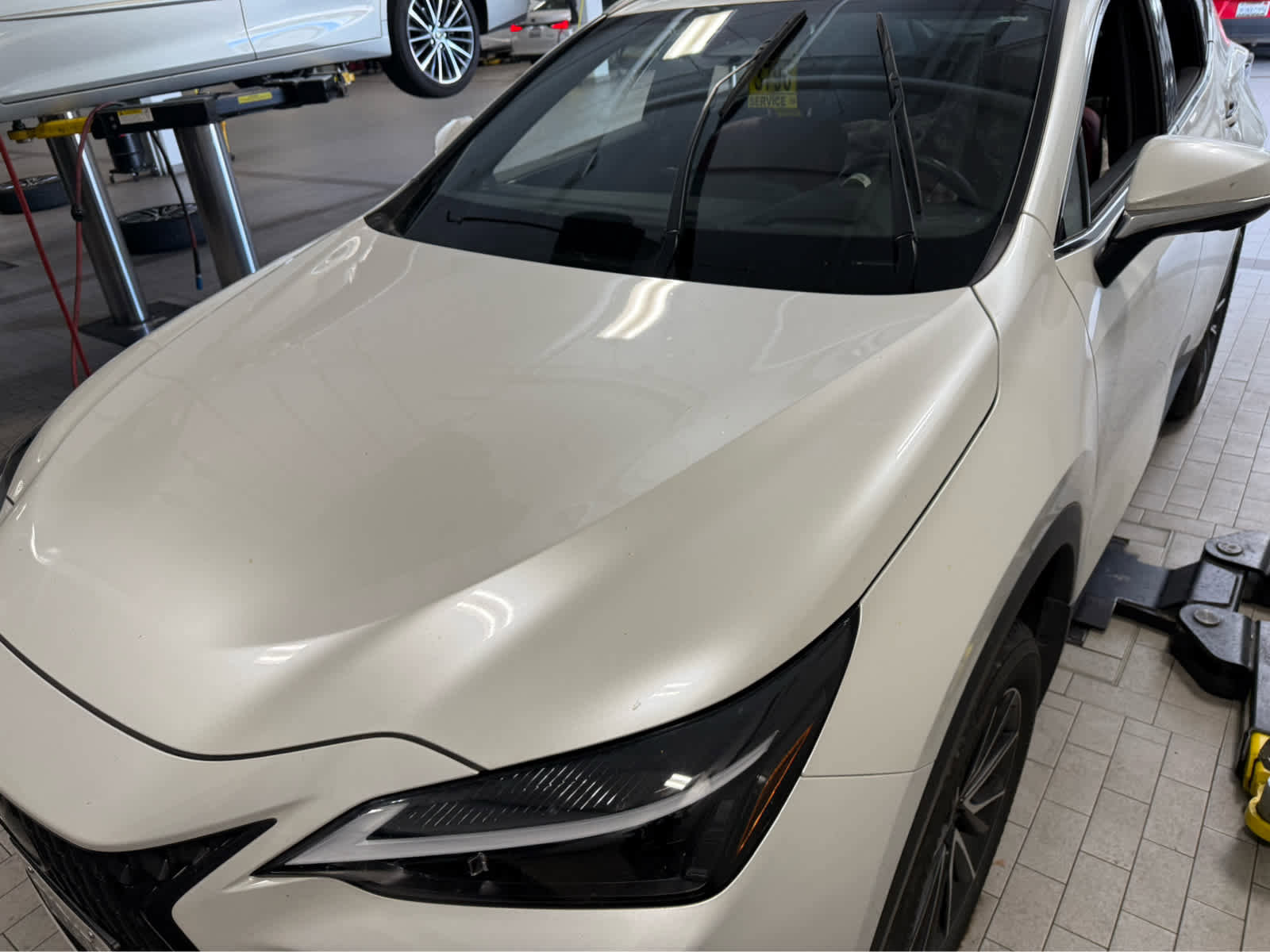 Certified 2025 Lexus NX 350h AWD w/ Cold Area Package image 8