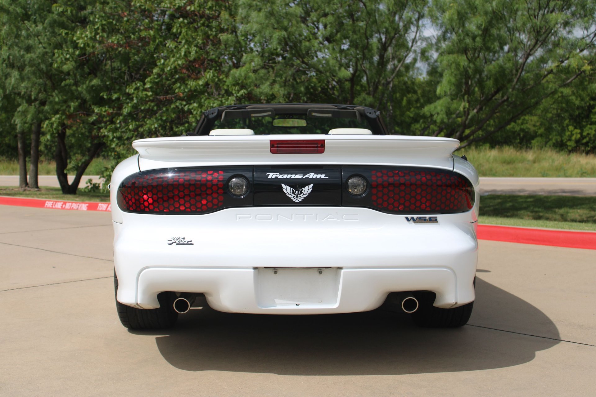 Used 1999 Pontiac Firebird Trans Am RWD image 12