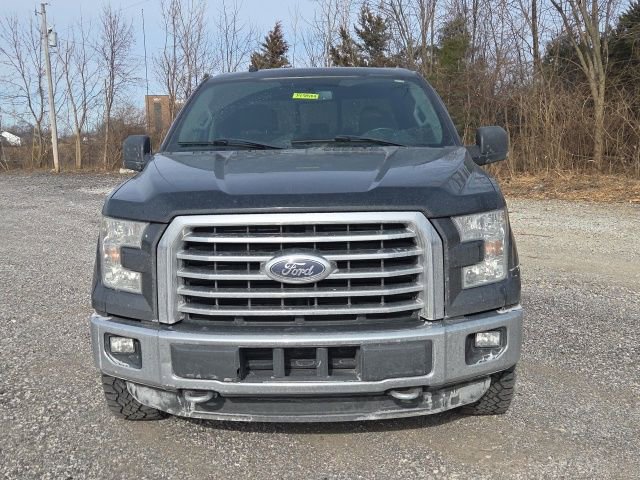 Used 2016 Ford F150 XLT w/ Equipment Group 302A Luxury image 15