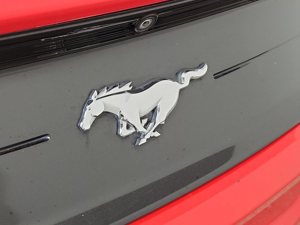 Used 2019 Ford Mustang Premium RWD image 5