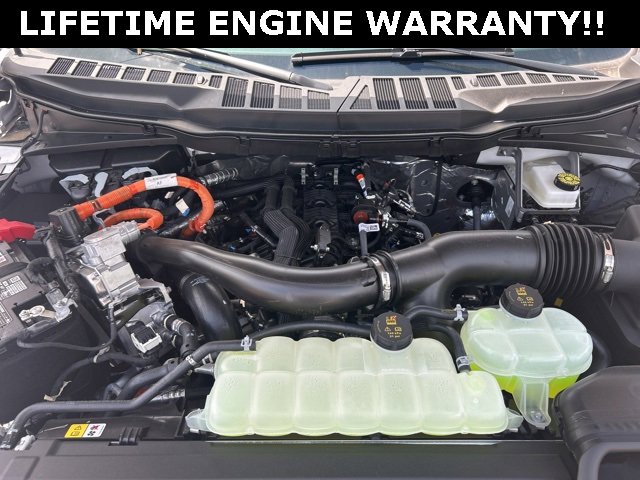New 2025 Ford F150 XLT w/ Equipment Group 302A MID image 54