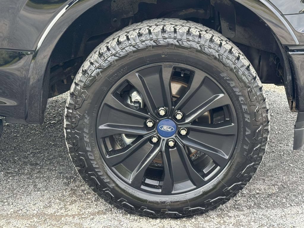 Used 2019 Ford F150 XLT w/ Equipment Group 302A Luxury AWD/4WD image 11