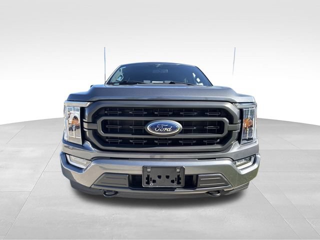 Used 2023 Ford F150 XLT w/ Equipment Group 302A High AWD/4WD image 6