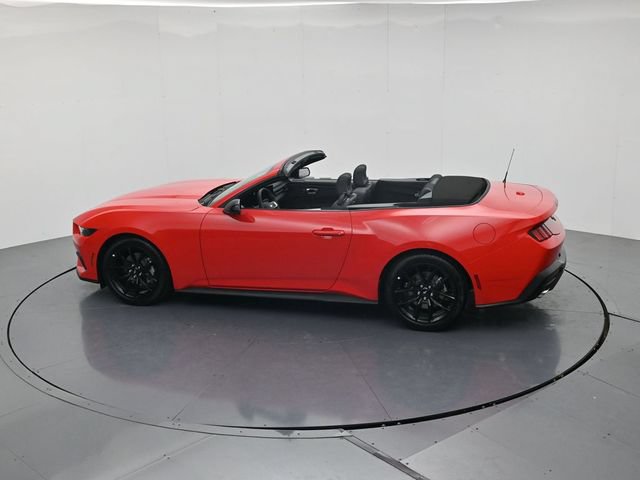 New 2026 Ford Mustang Convertible w/ Mustang Nite Pony Package RWD image 50