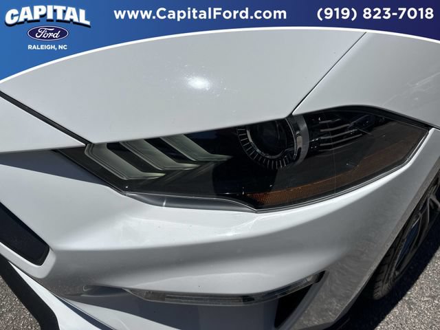 Used 2019 Ford Mustang Premium w/ Equipment Group 201A RWD image 11