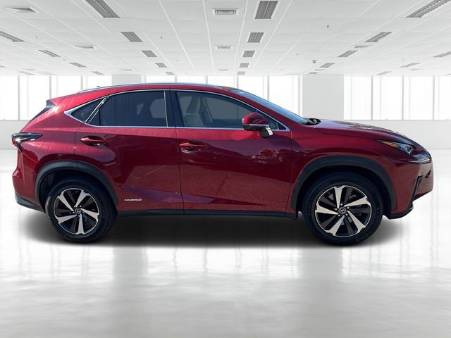Used 2021 Lexus NX 300h AWD w/ Premium Package image 3