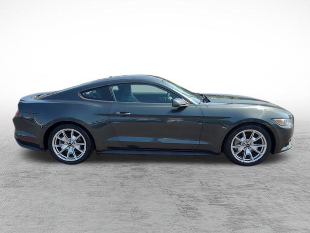 Used 2015 Ford Mustang Premium w/ 50 Years Appearance Package RWD image 4