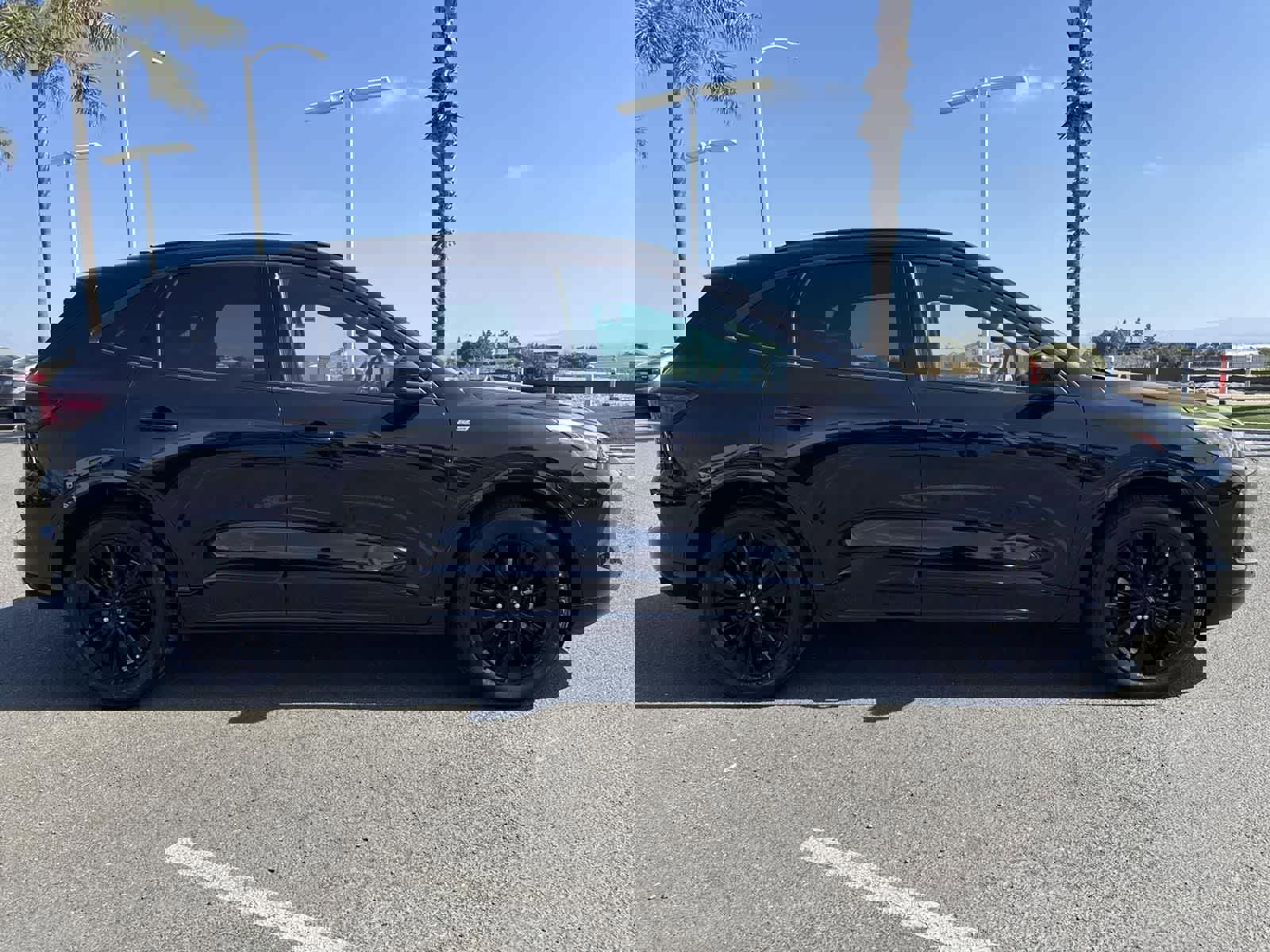 Used 2024 Ford Escape ST-Line Elite w/ Premium Technology Package image 3