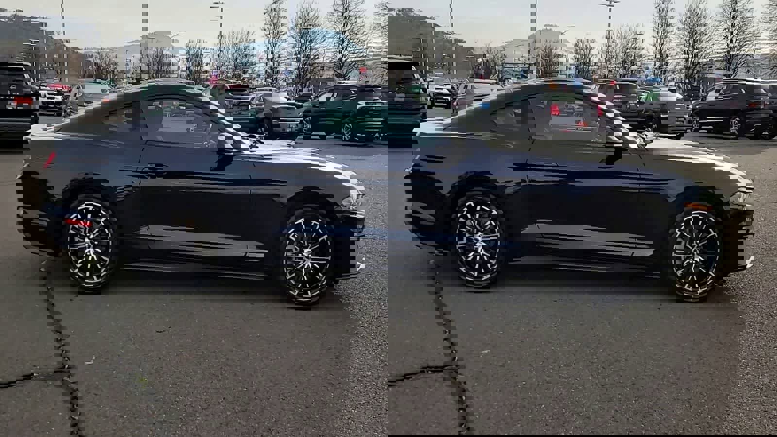 Used 2021 Ford Mustang Coupe w/ Equipment Group 101A image 9