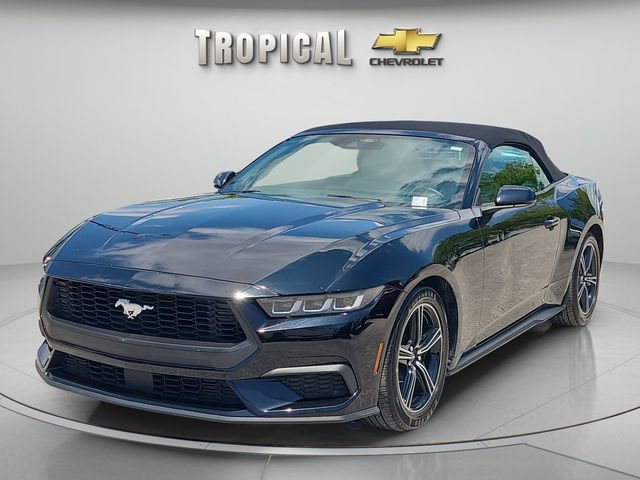 Used 2024 Ford Mustang Premium