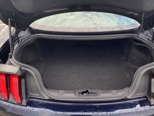 Used 2021 Ford Mustang Premium image 9