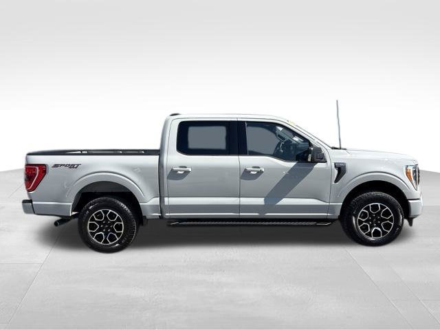Used 2023 Ford F150 XLT w/ Equipment Group 302A High AWD/4WD image 9