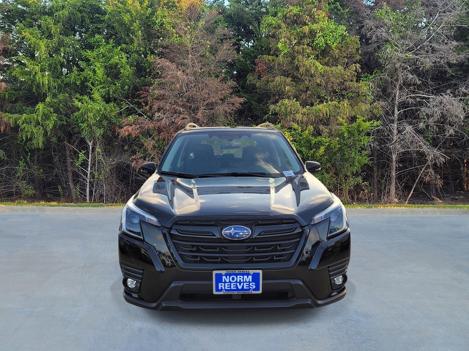 Certified 2024 Subaru Forester Limited image 2