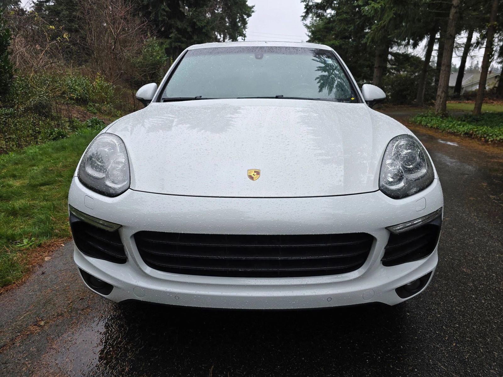 Used 2017 Porsche Cayenne Platinum Edition image 8