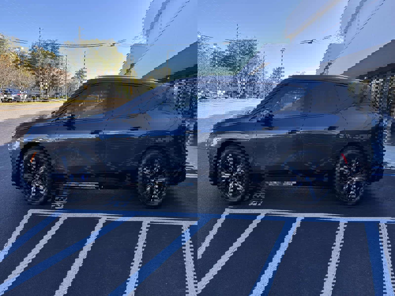 Certified 2025 BMW iX xDrive50 w/ Premium Package image 6