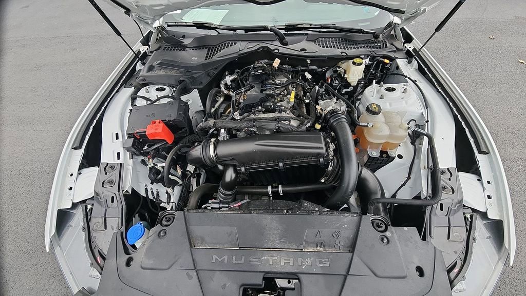 Used 2024 Ford Mustang Coupe RWD image 29