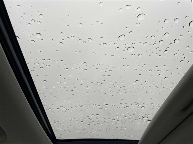 New 2025 Kia Telluride EX image 7