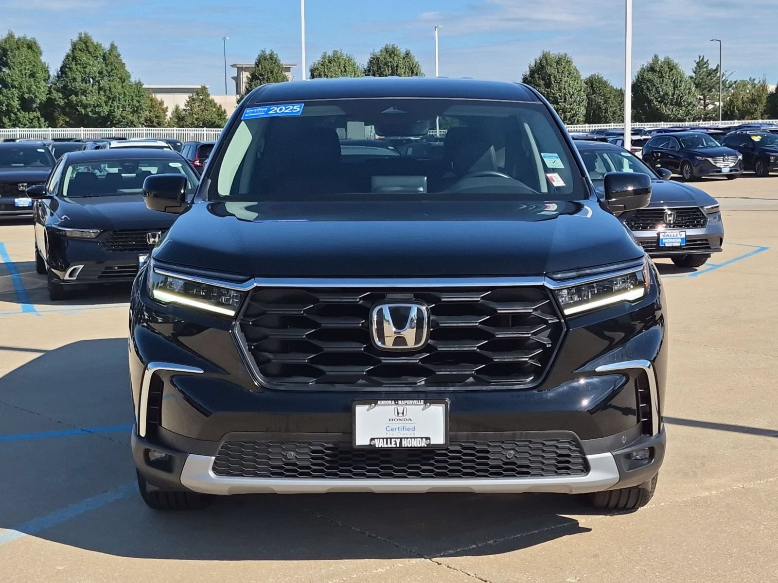 Certified 2025 Honda Pilot EX-L image 3