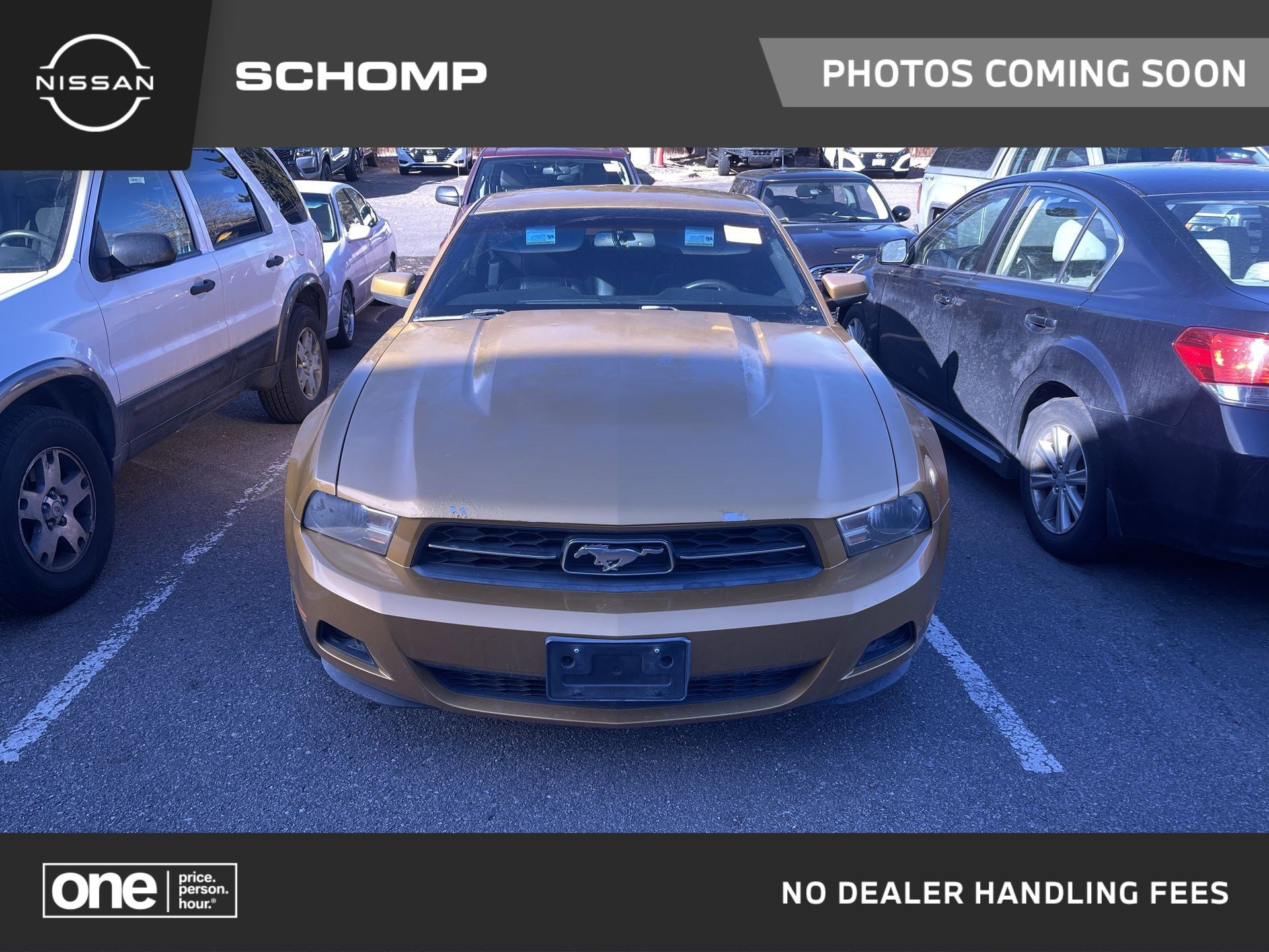 Used 2010 Ford Mustang Coupe