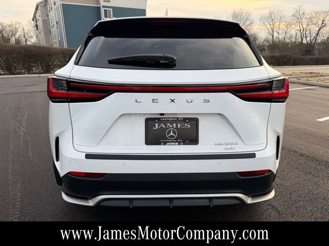 Used 2025 Lexus NX 350 F Sport image 6