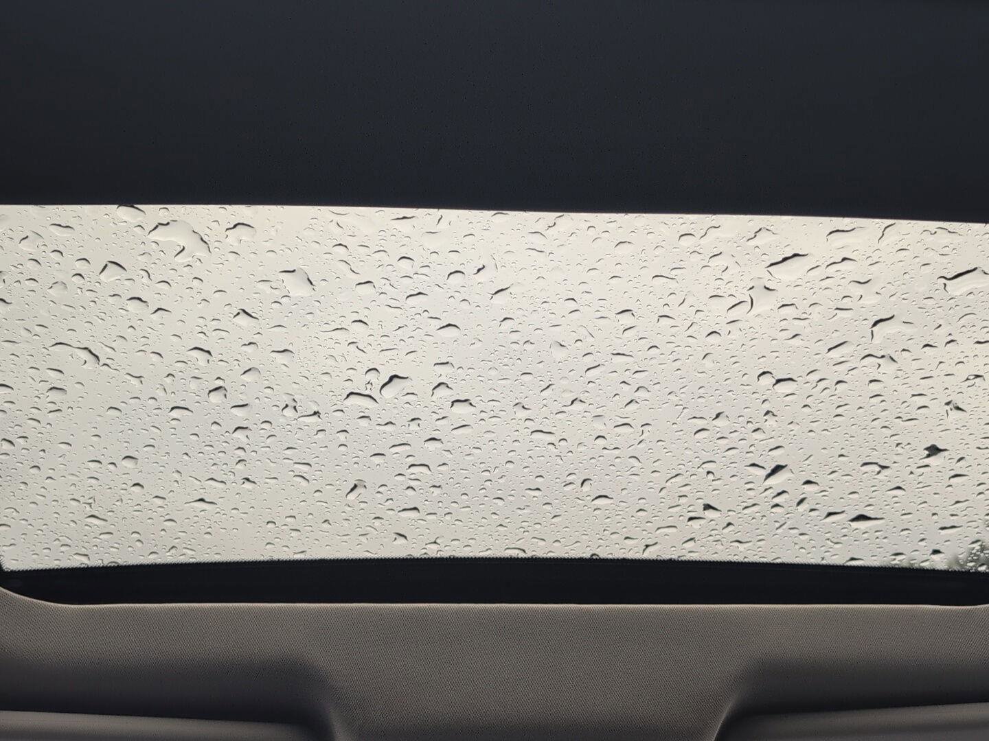 Used 2025 Nissan Rogue SL w/ Tech Package image 12