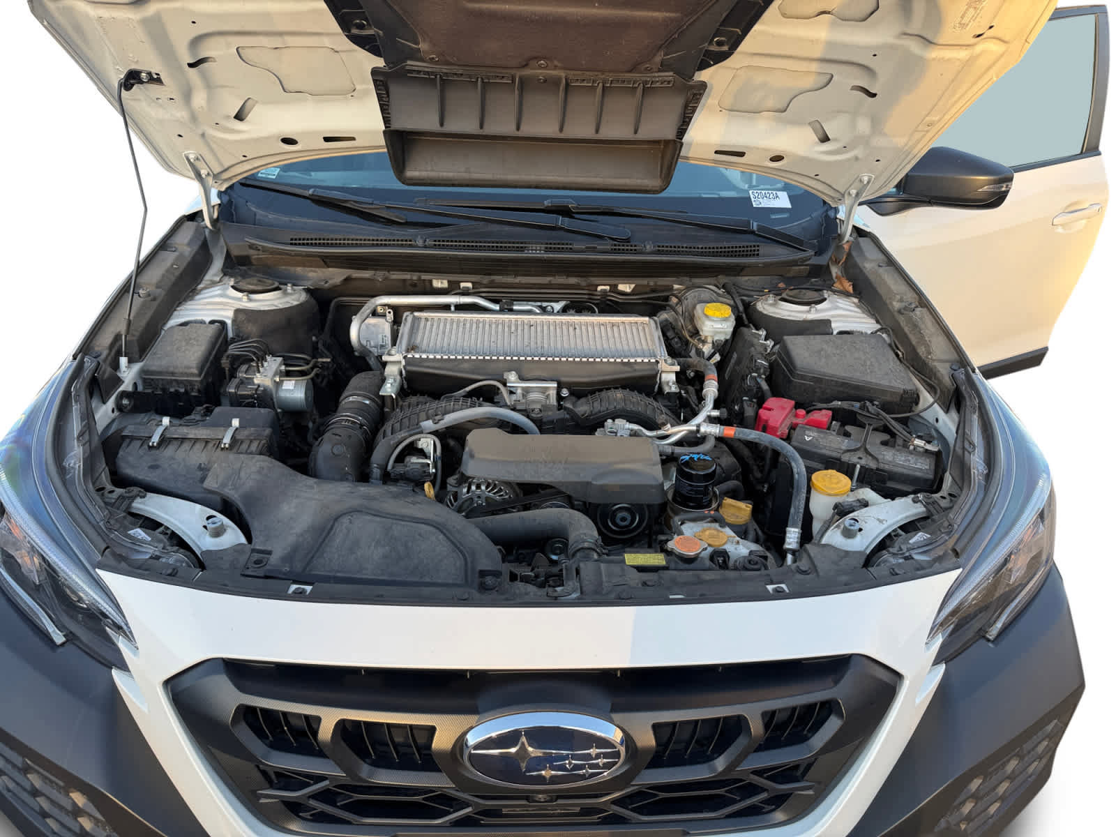 Used 2024 Subaru Outback Wilderness AWD/4WD image 24