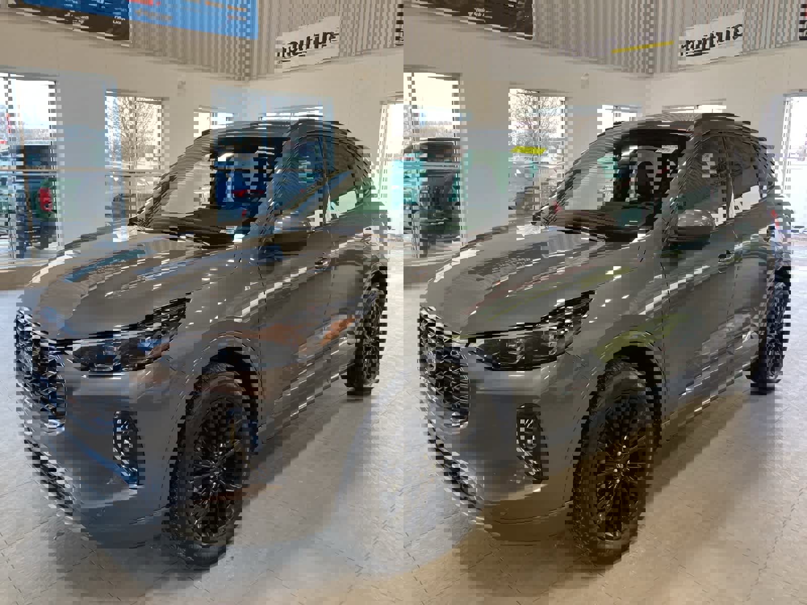 Used 2023 Ford Escape ST-Line Elite