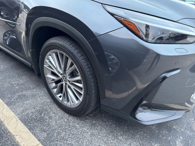 Used 2025 Lexus NX 350 AWD w/ Luxury Package image 6