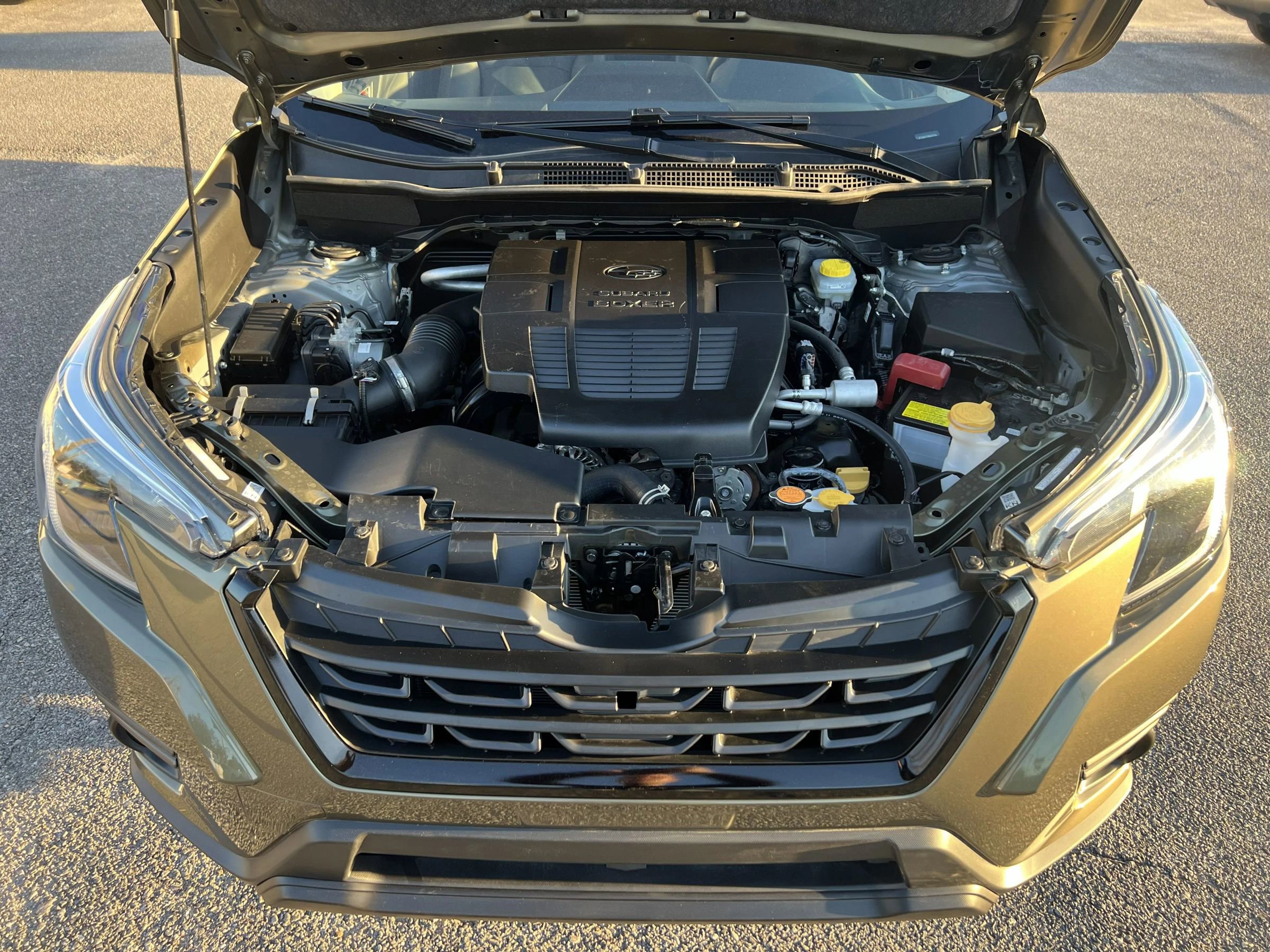 Used 2024 Subaru Forester Limited image 26