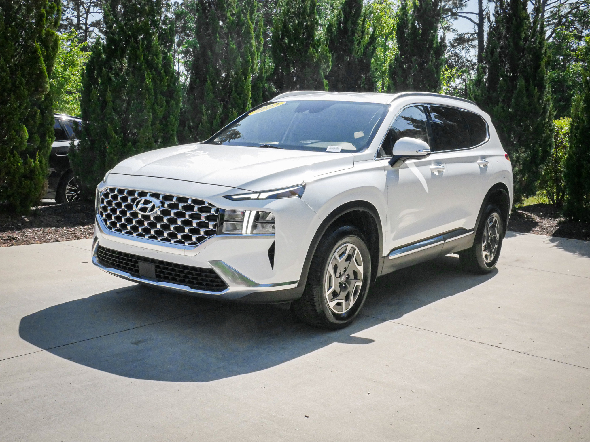 Used 2023 Hyundai Santa Fe Blue AWD/4WD image 5