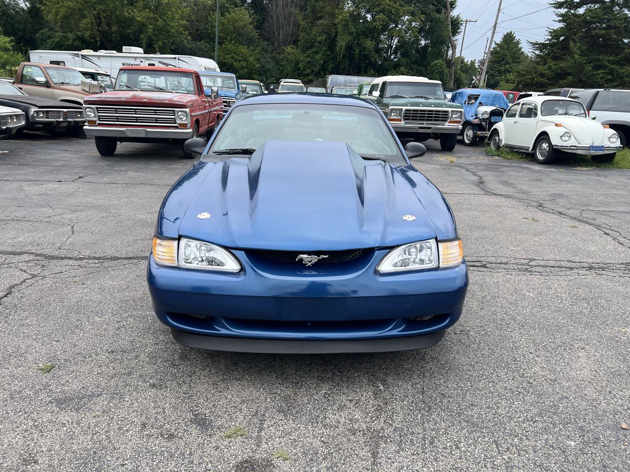Used 1994 Ford Mustang GT RWD image 2