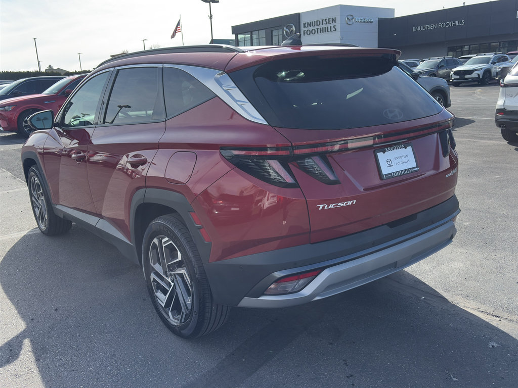 Used 2025 Hyundai Tucson Limited AWD/4WD image 5