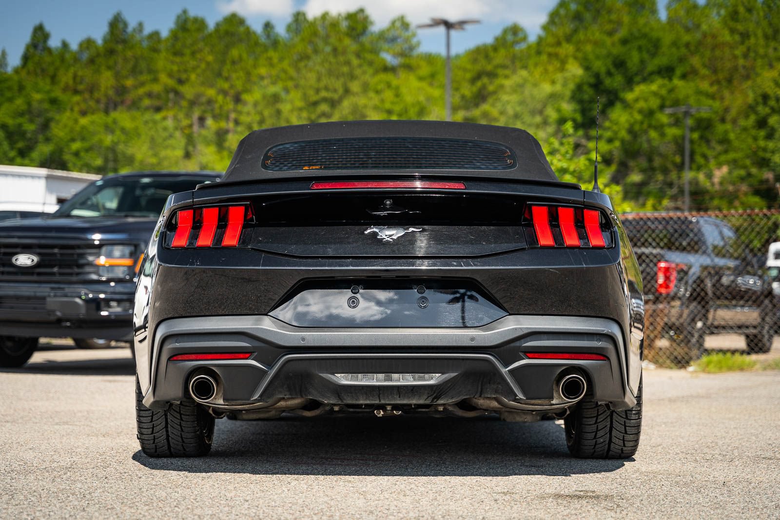 Certified 2024 Ford Mustang Premium RWD image 6