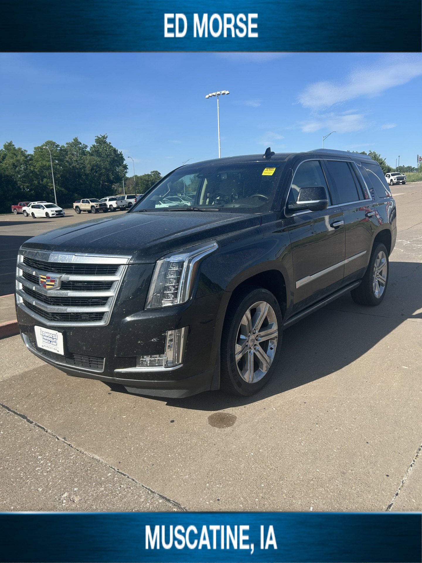 Used 2016 Cadillac Escalade Premium