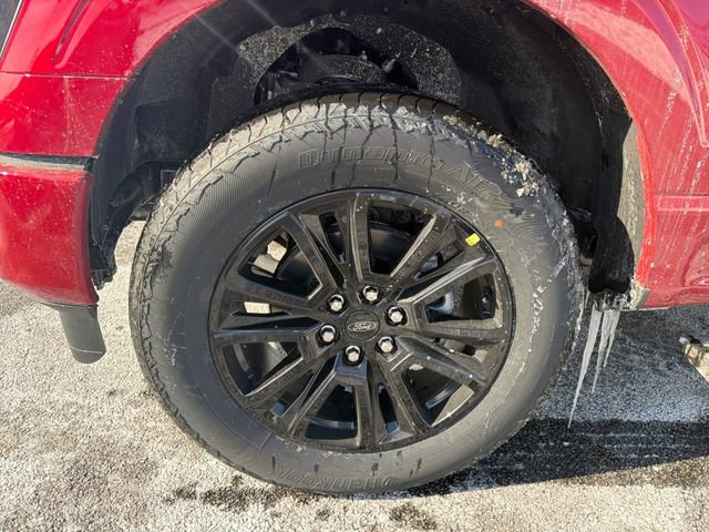 New 2025 Ford F150 Platinum w/ Equipment Group 702A High image 15