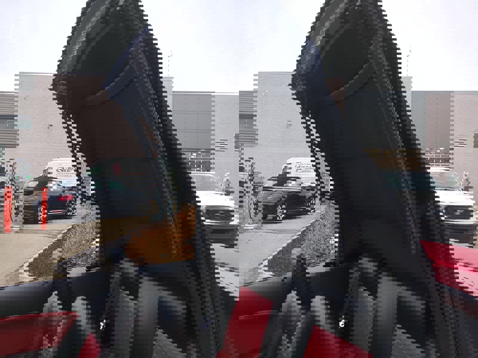 Used 2008 Ford Mustang Shelby GT500 image 11