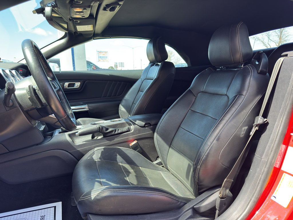 Used 2019 Ford Mustang Premium RWD image 12