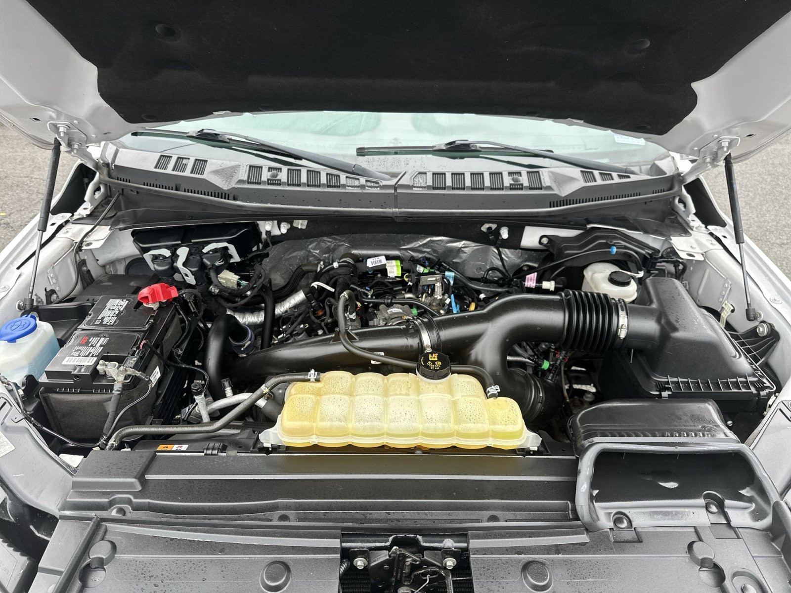 Certified 2019 Ford F150 XLT w/ Equipment Group 302A Luxury AWD/4WD image 28