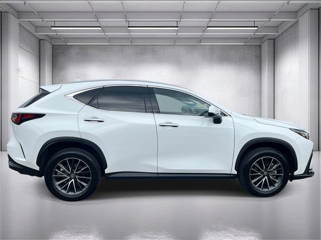 Used 2026 Lexus NX 350 AWD w/ Cold Area Package image 2