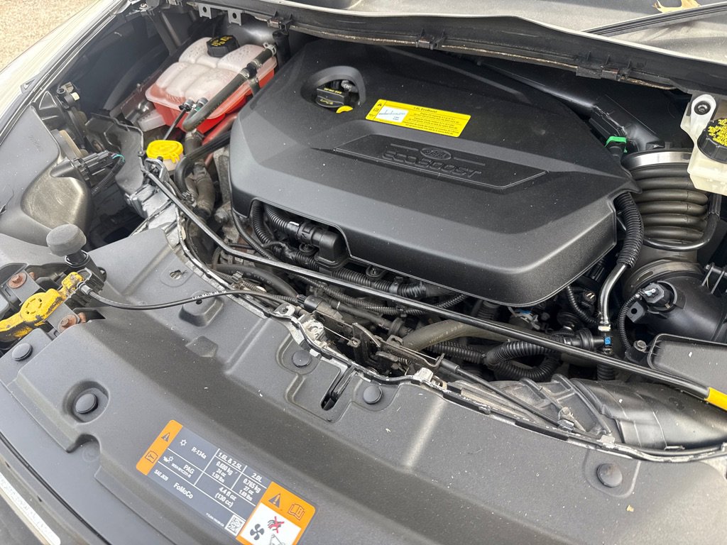 Used 2014 Ford Escape SE w/ Equipment Group 201A image 20