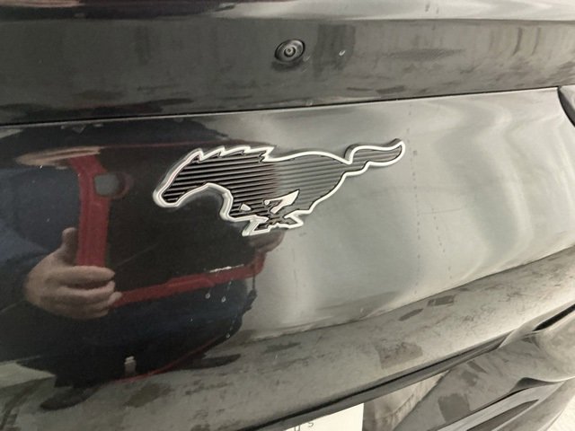 Used 2021 Ford Mustang Mach-E California Route 1 image 5