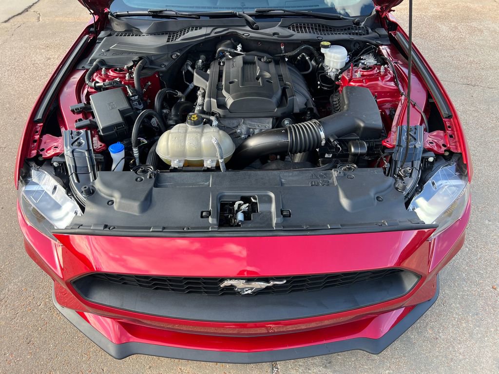 Used 2022 Ford Mustang Coupe w/ Equipment Group 101A RWD image 18