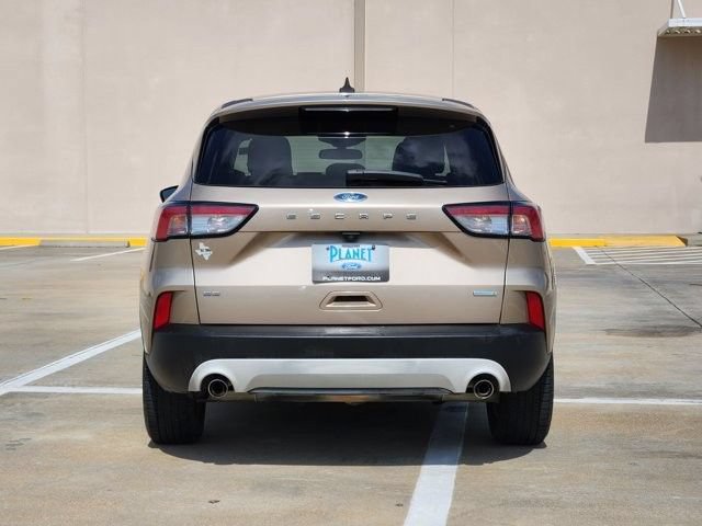 Used 2020 Ford Escape SE FWD image 6