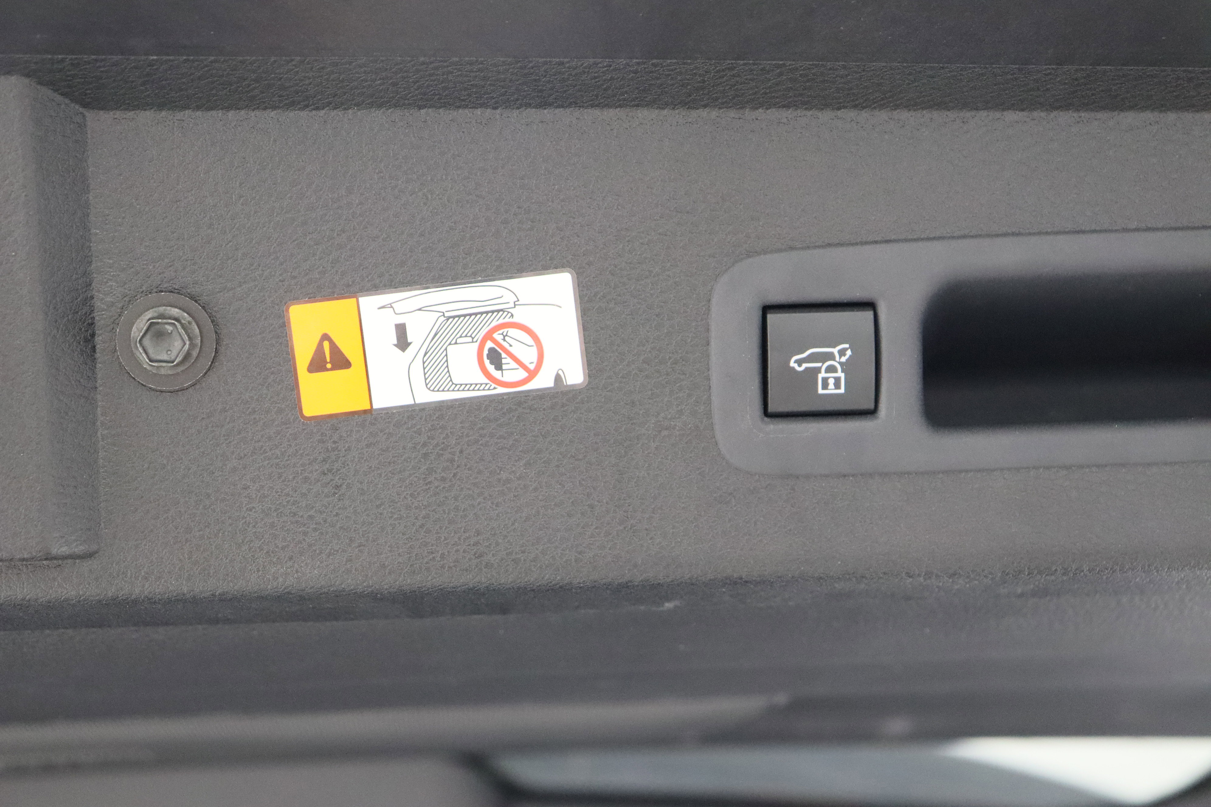 Used 2025 Toyota Sienna XLE Woodland Edition image 37