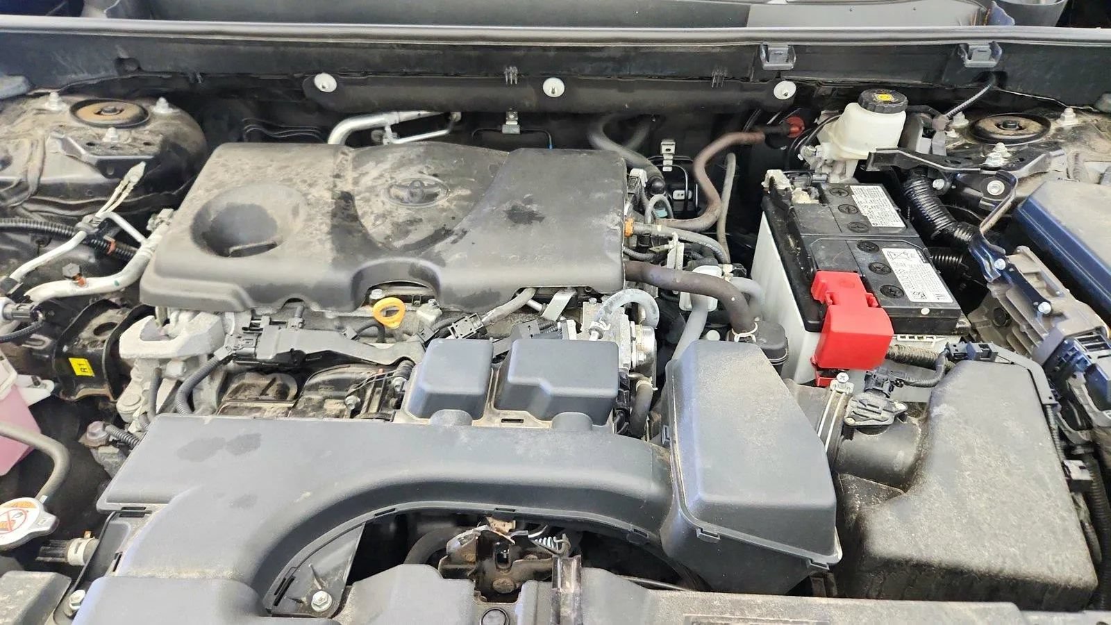 Used 2024 Toyota RAV4 XLE FWD image 39