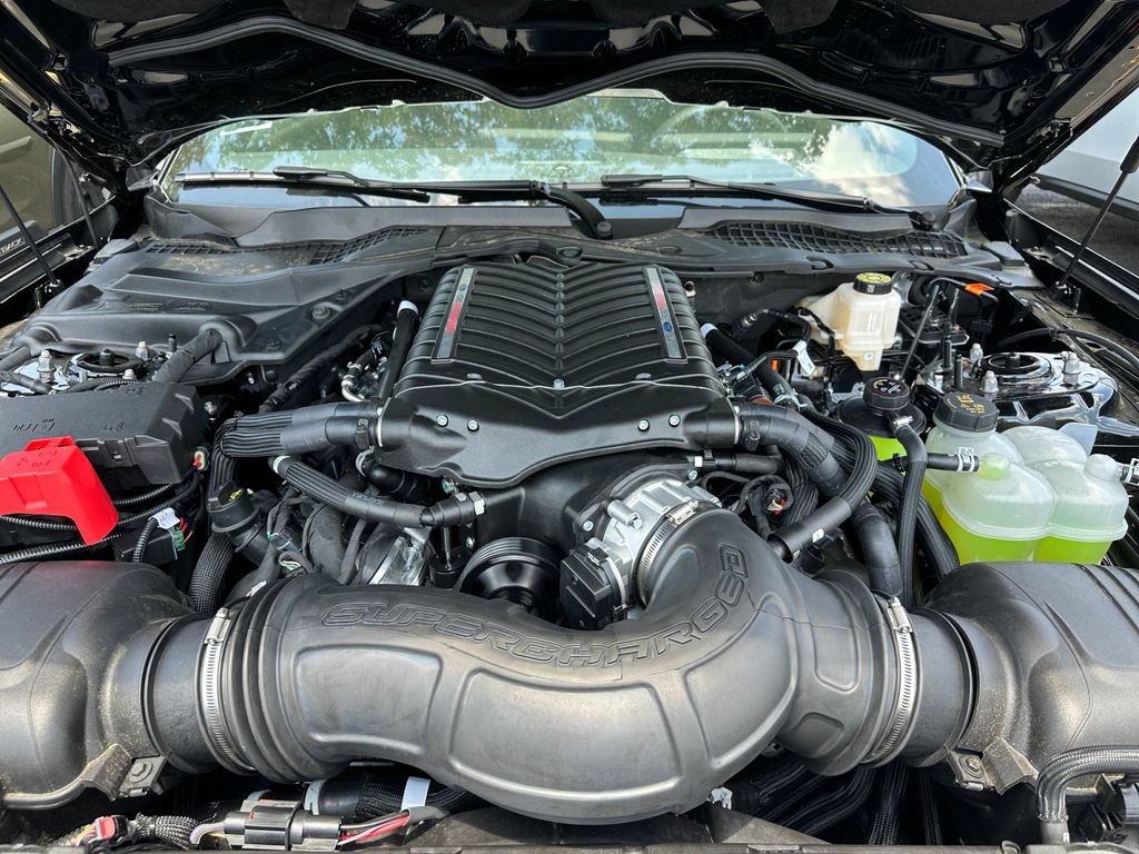 New 2026 Ford Mustang GT w/ Mustang Nite Pony Package RWD image 2