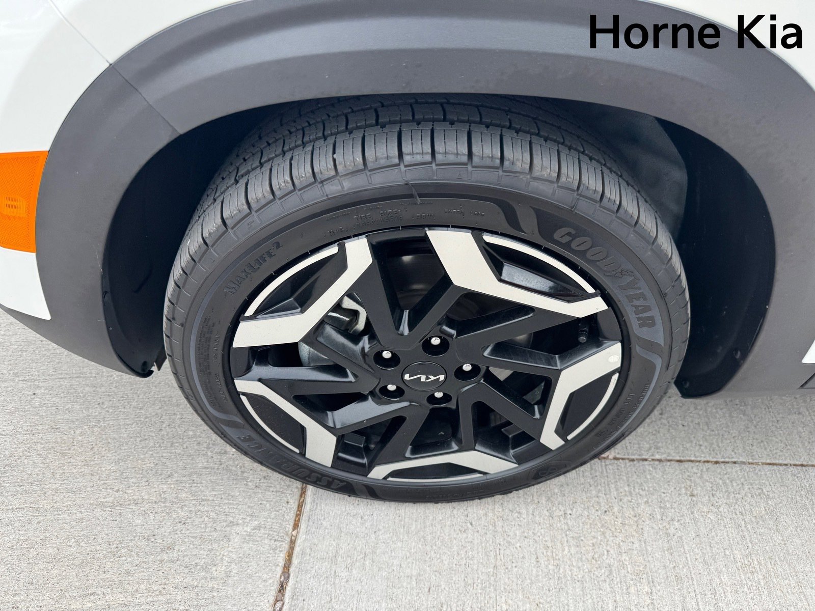 Certified 2024 Kia Seltos SX image 8