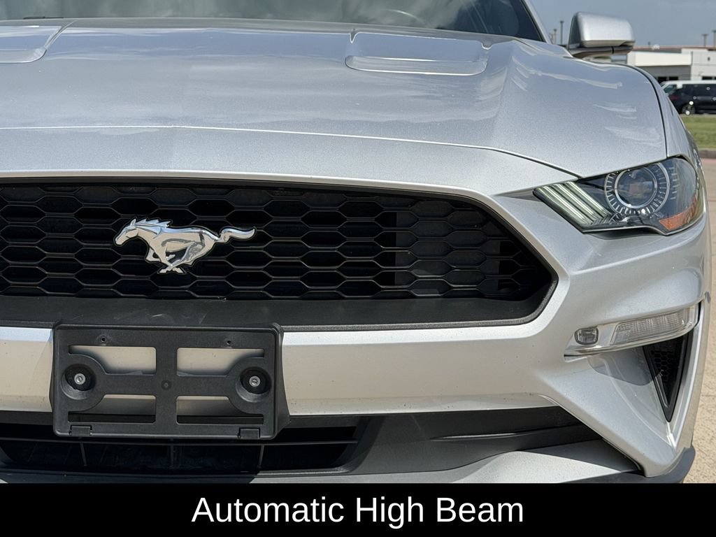 Used 2019 Ford Mustang Premium w/ Equipment Group 201A RWD image 5
