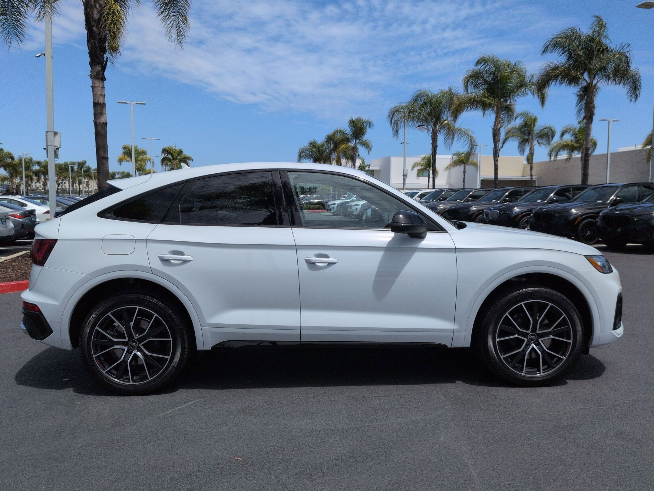 Used 2024 Audi SQ5 Premium Plus w/ Premium Plus Package AWD/4WD image 11